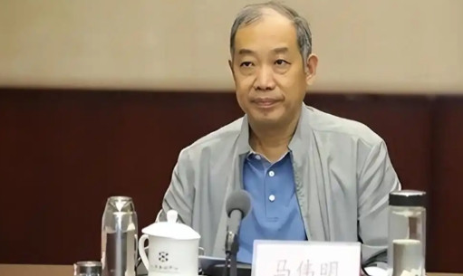 马伟明猜中了，百亿核航母或将真的变成烂尾工程！马伟明，中国海军工程大学教授。