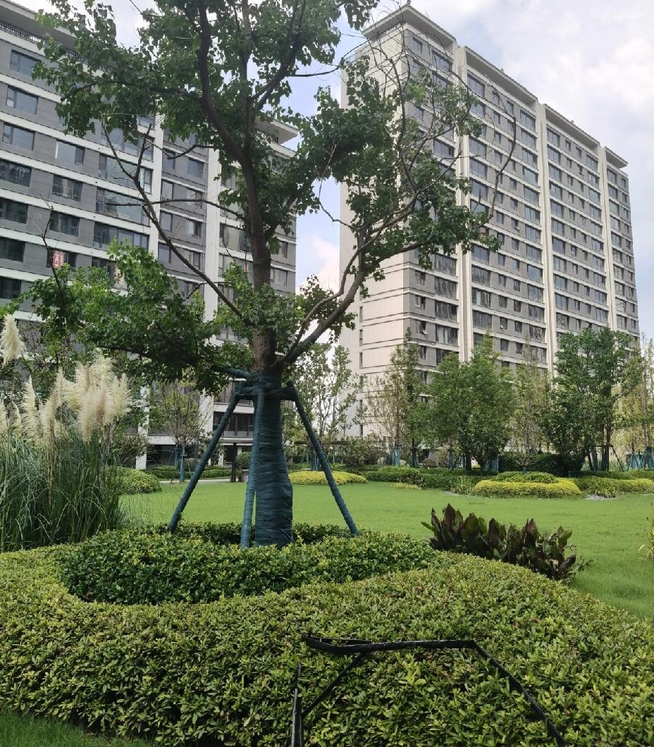 谁懂啊！房贷降息后，100万贷款每月少还一顿饭钱。已经买房子了，如果贷了10