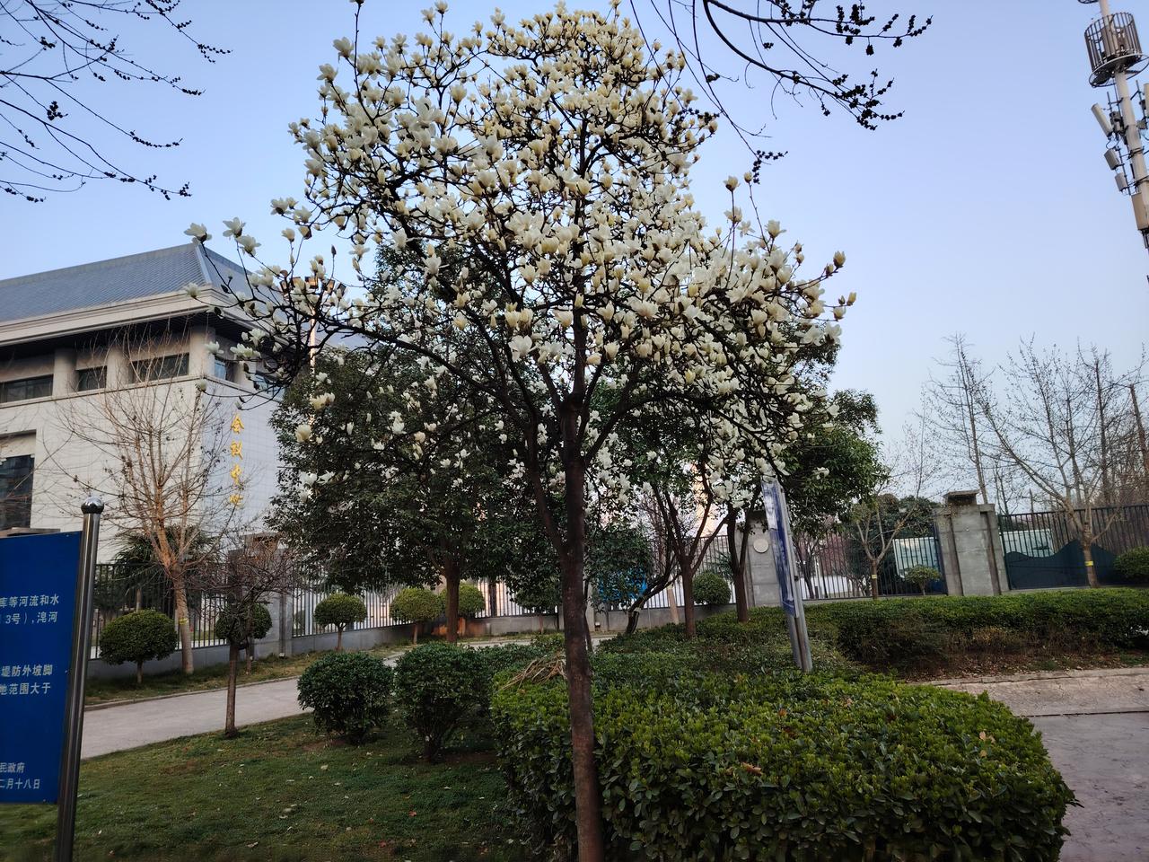 校长管理做好这三个改变，学校才能真正变好！2026最实在的教育感悟好校长，不是