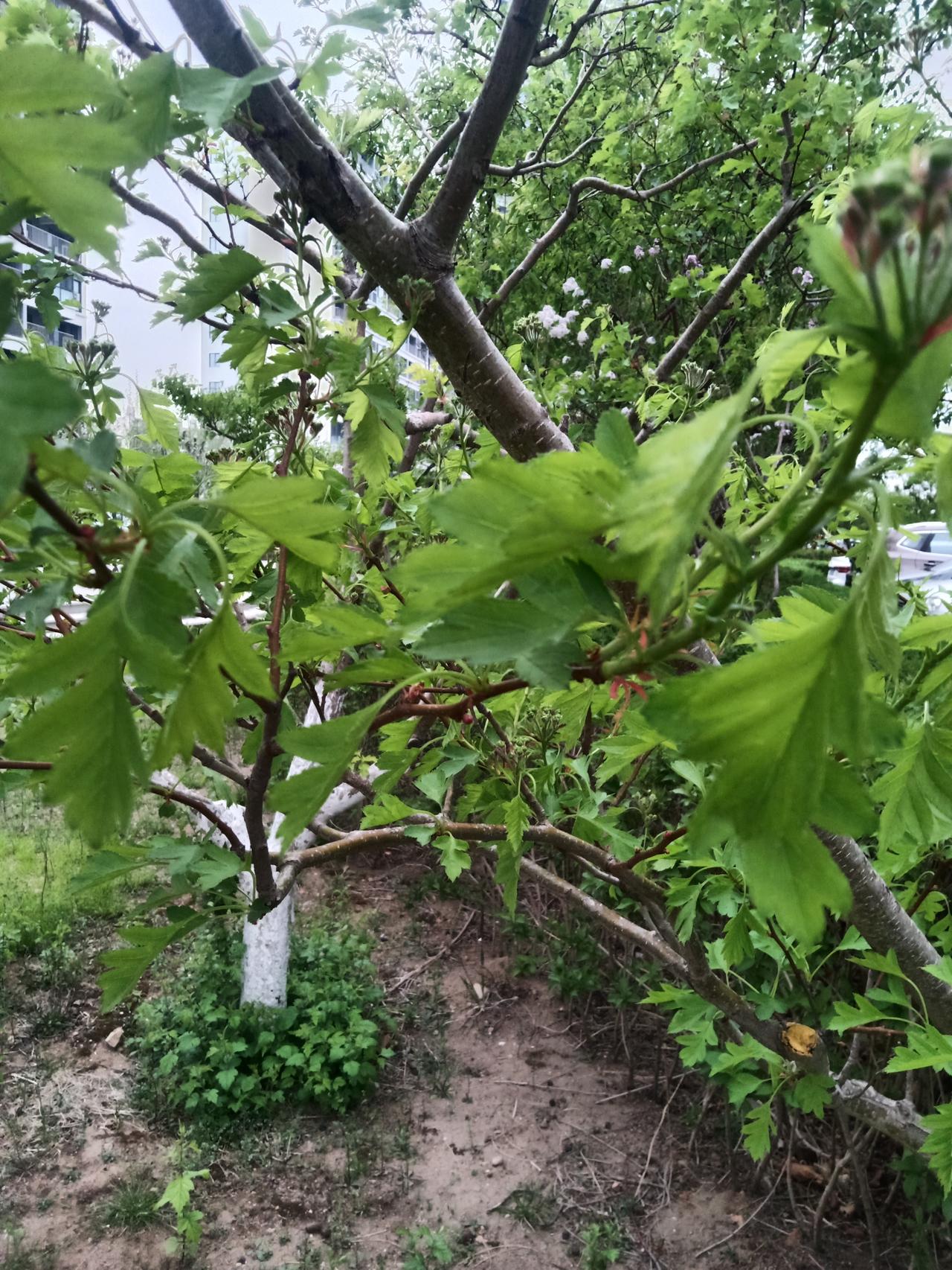 失眠的跟钱没有必然的关系，多半是与抑郁造成的。一北京退休的本地人，她家里有房子，