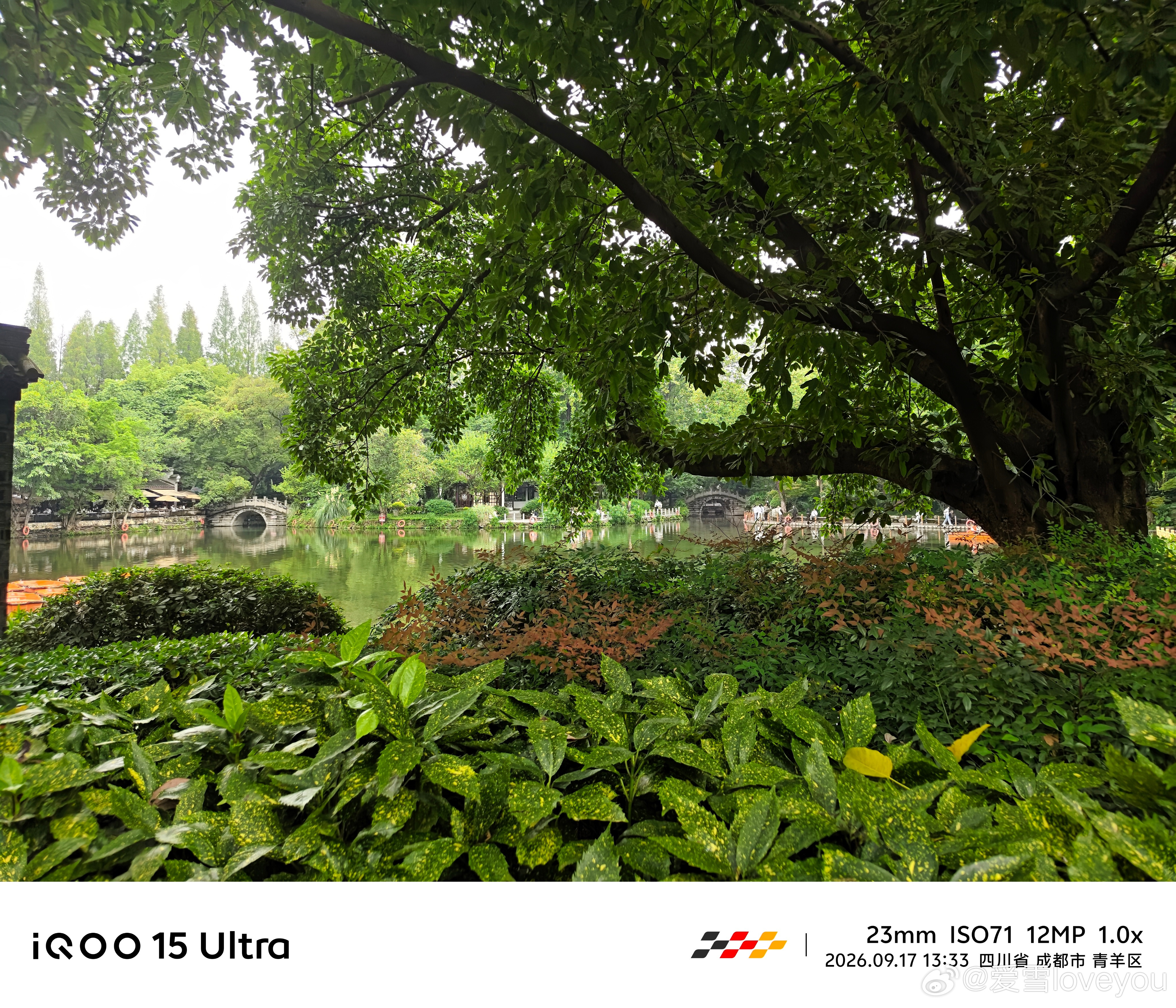 #vivo##iqoo#成都的惬意，藏在人民公园的一草一木间漫步林间小道，看湖面波光粼粼，假山叠翠，