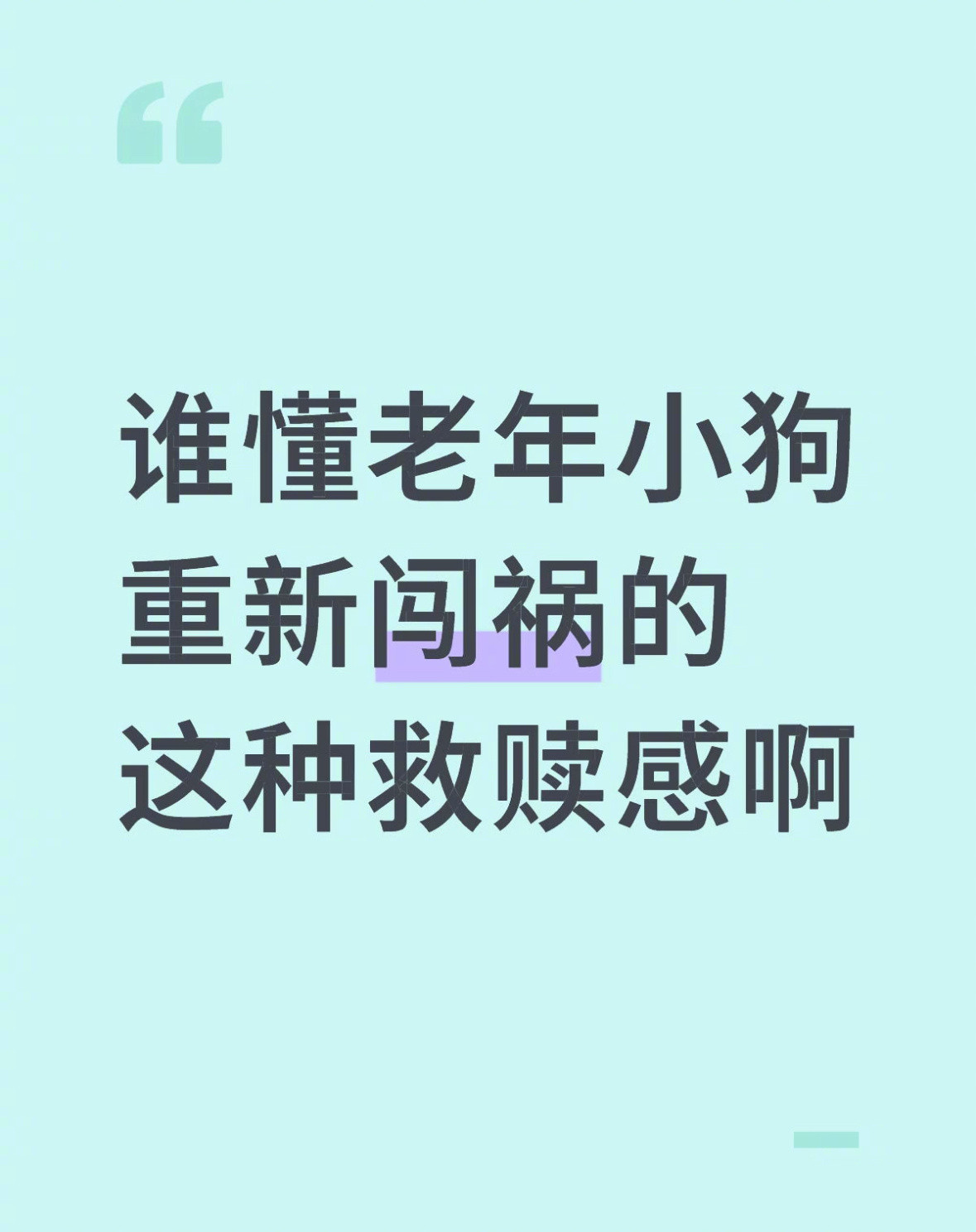 希望老年小狗能多多闯祸