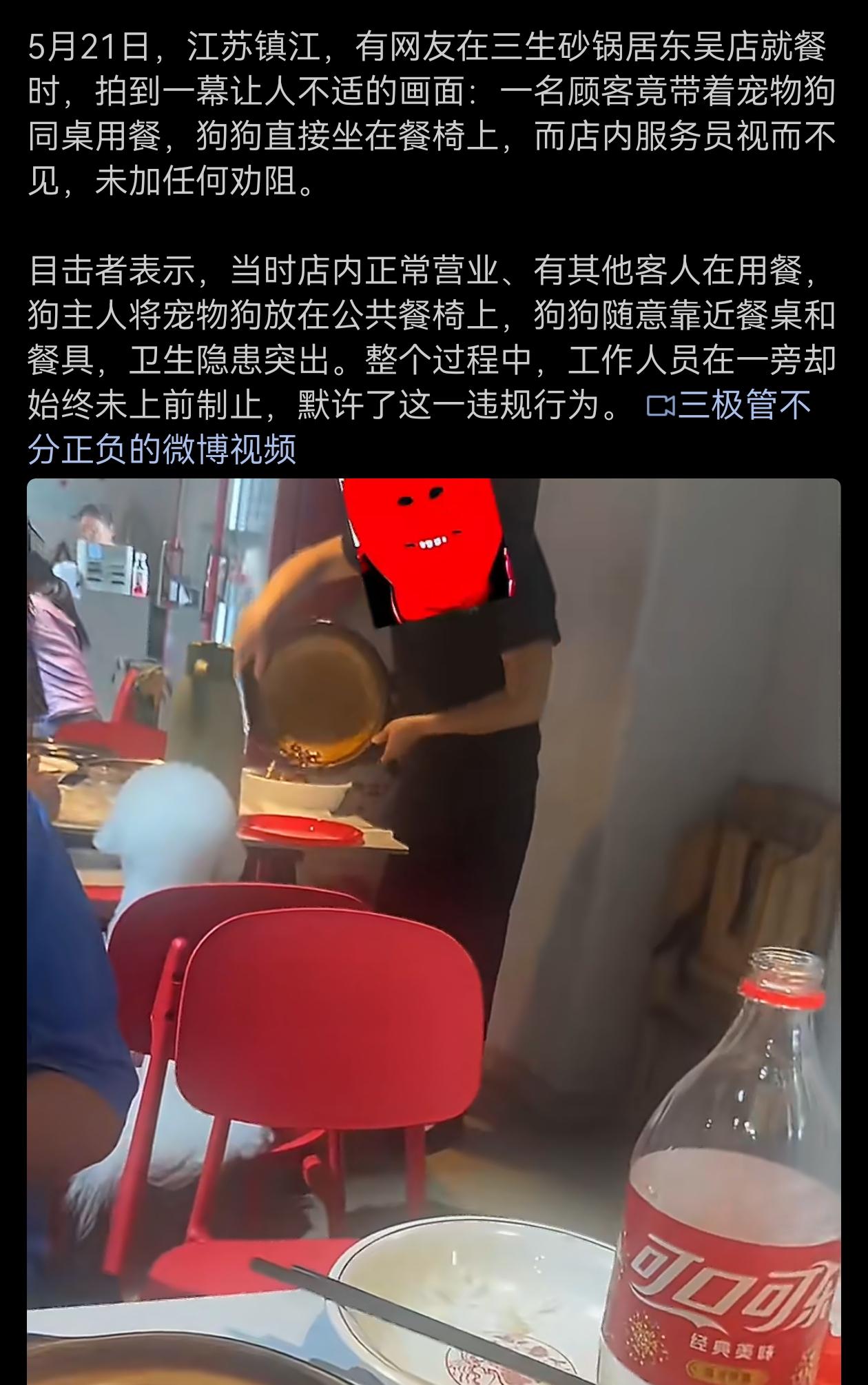 餐厅不是你家炕，毛狗直接坐桌旁。爪子踩椅还蹭盘，口水差点滴进汤。老板装瞎