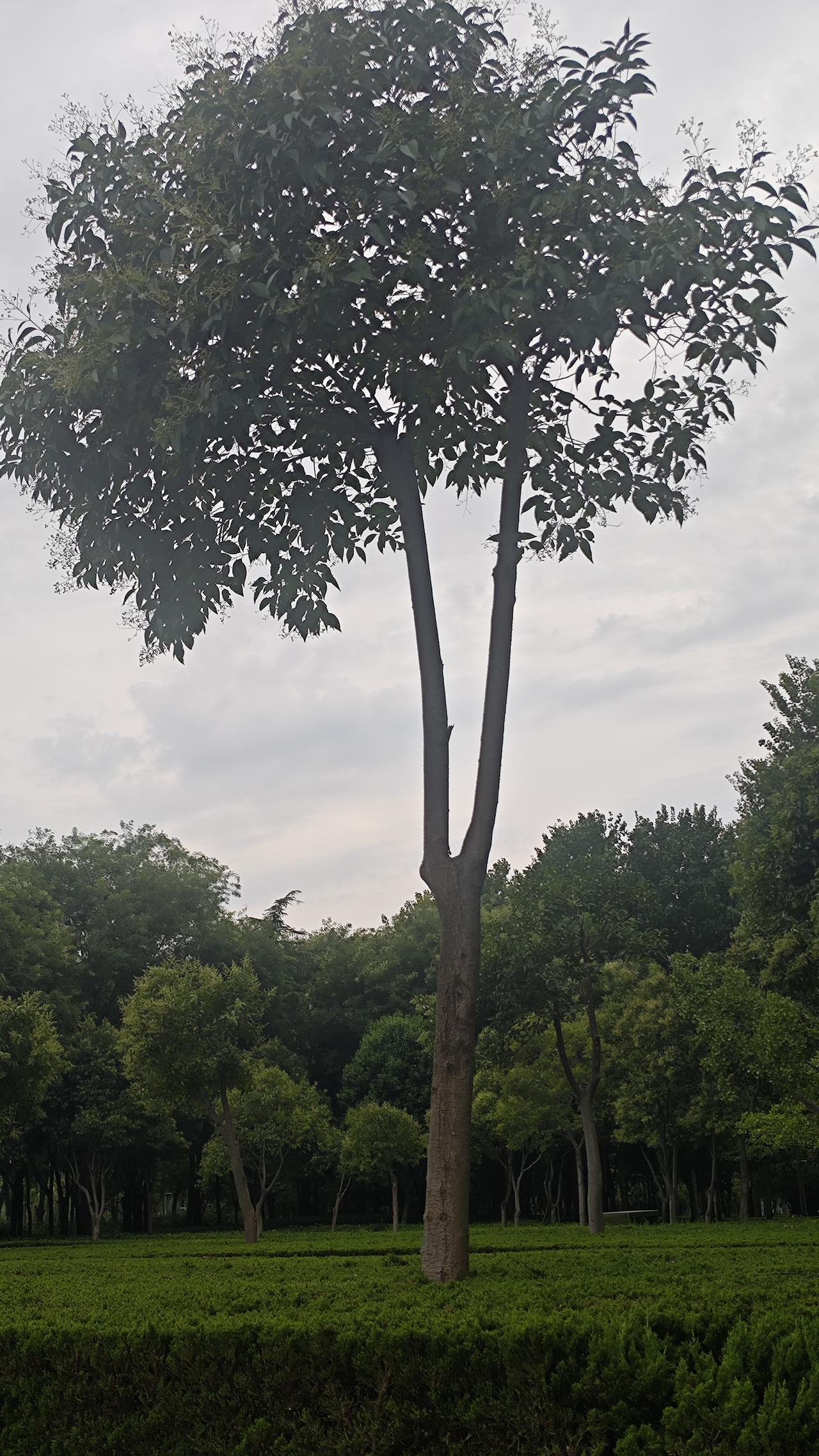 六十岁以后，身体在慢慢变老，主要体现在这几个方面:（一）力气慢慢变小，就是
