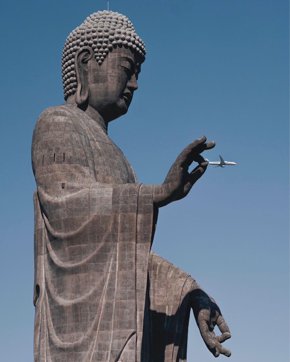 两张“大佛捏飞机”的错位照，看完真的会被大自然和镜头骗到！第一张是日本牛