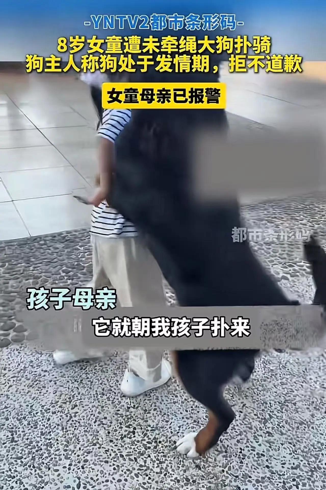 “这种狗主人比狗还要狗……”看到云南玉溪这条新闻的时候，我脑子里蹦出来的，就