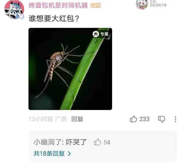 不开玩笑我们这里这两天家里是真的有蚊子