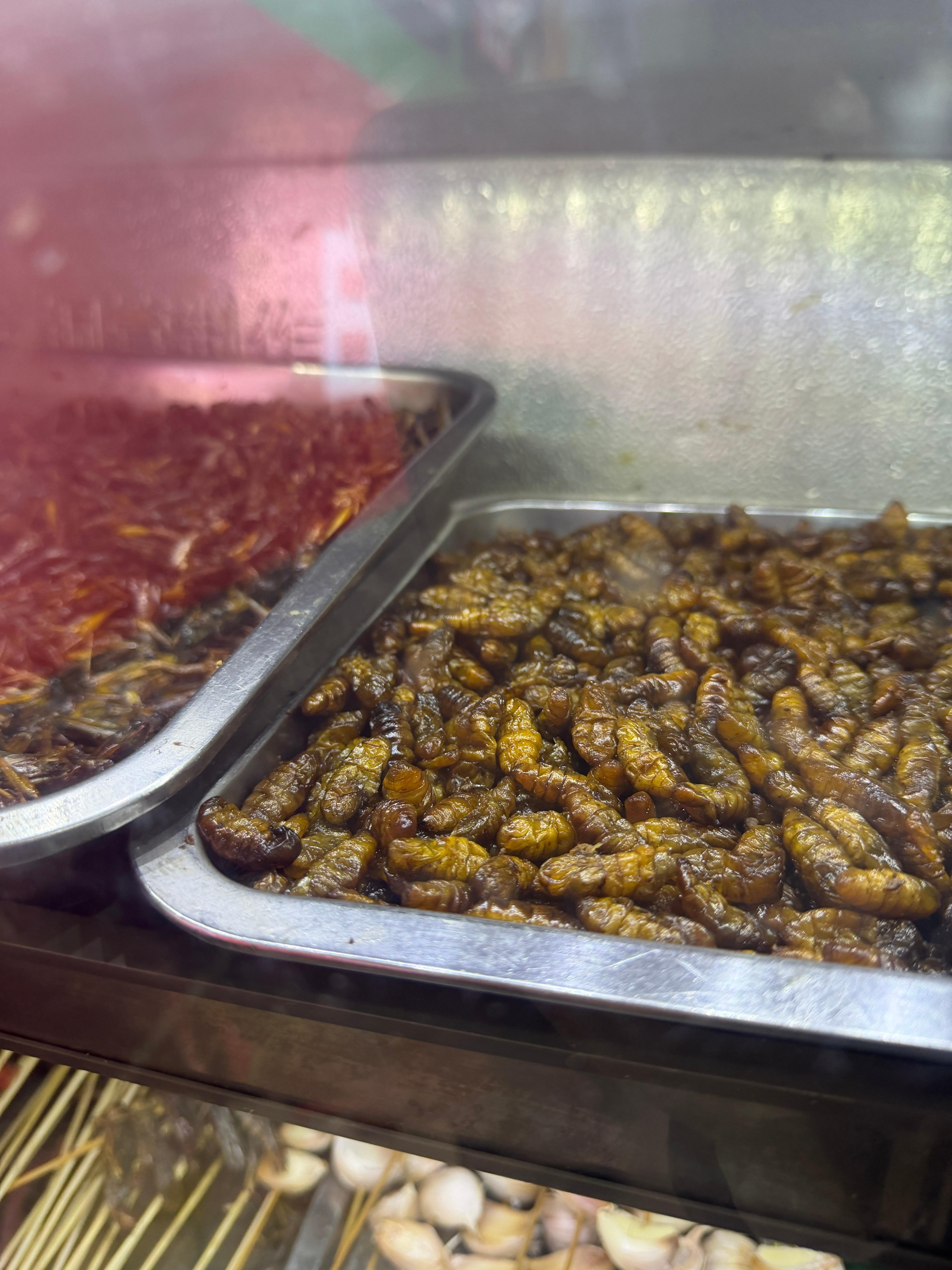 到云南第一顿一定要整点不敢吃的