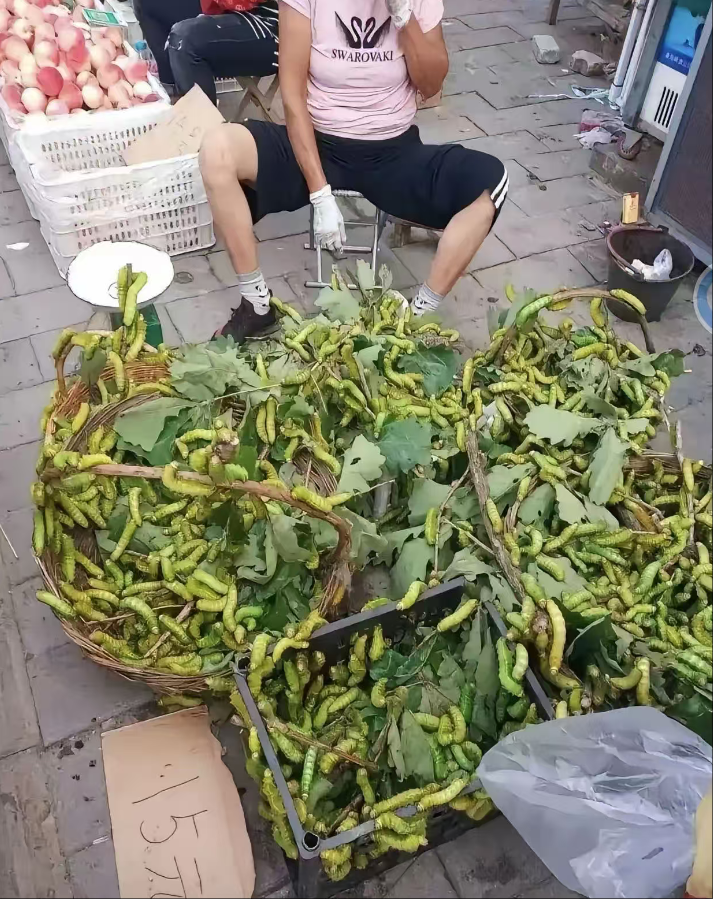 叶子上长这么多虫子能卖出去吗？