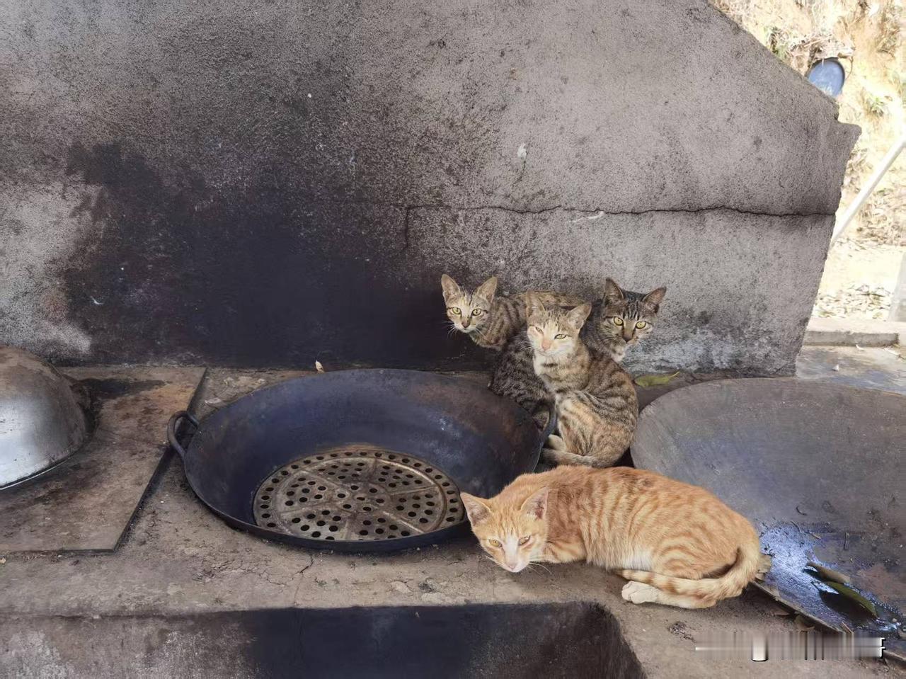 艺术的核心价值，从来不止于“好看”或“好听”，更在于创作者的生命体验、情感