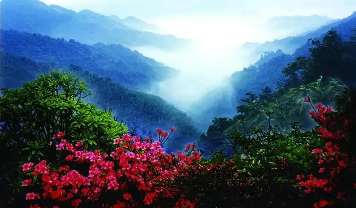 中国哪里的山水最好、风景最美五岭之都庞岭静立南岭腹地，脉连湘桂，气度悠然。千峰竞