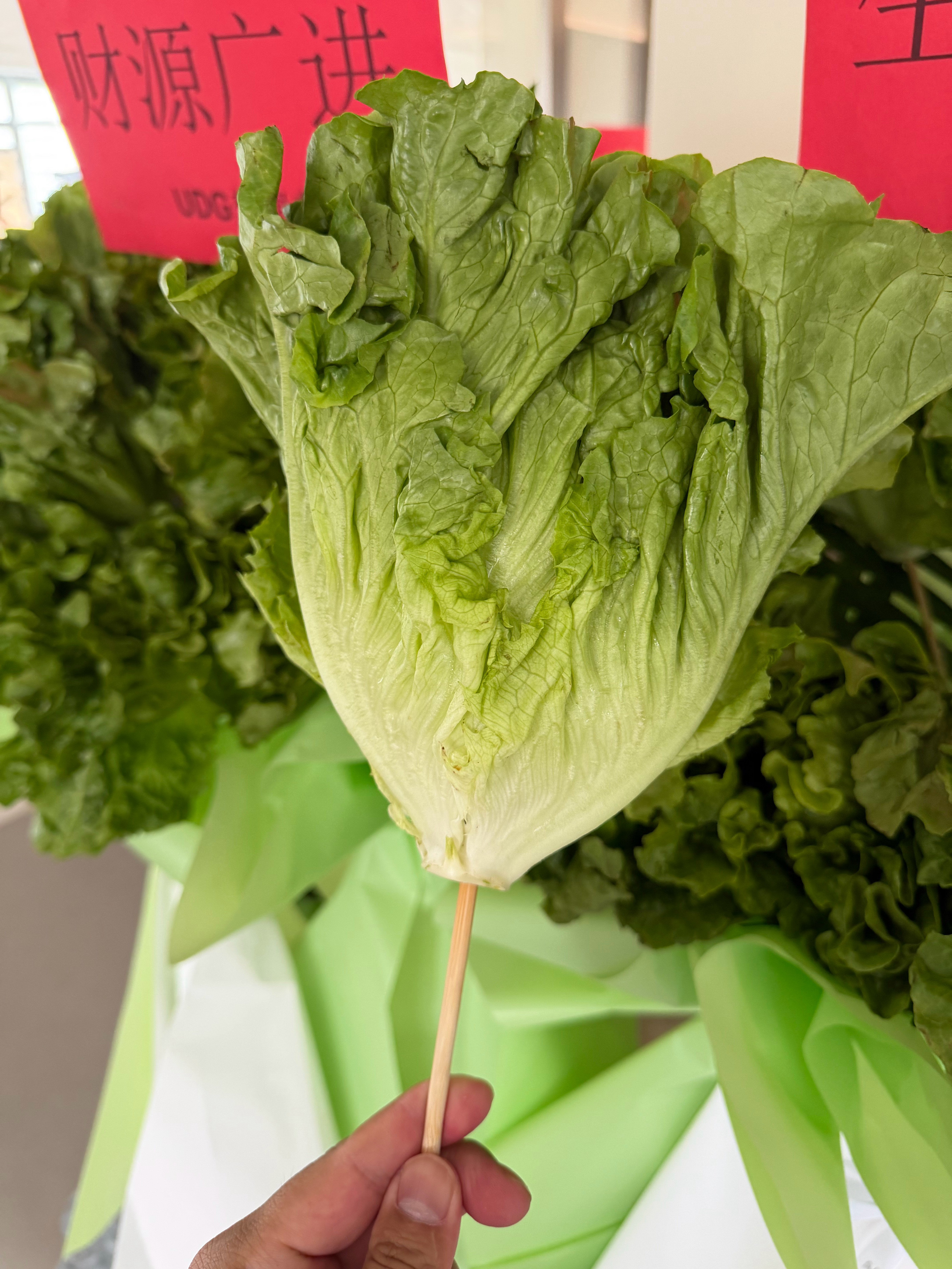 不好意思了，UDG梦想车库和杰特森文化，你们送的趣评测乔迁的“生菜”开业花篮，李