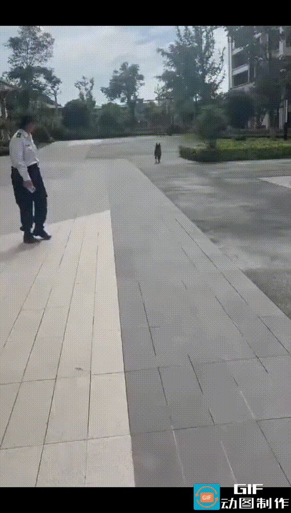小区内怎么能养这种大型烈性犬呢，不光养了，还放它四处乱跑。场地上多是老人和小孩