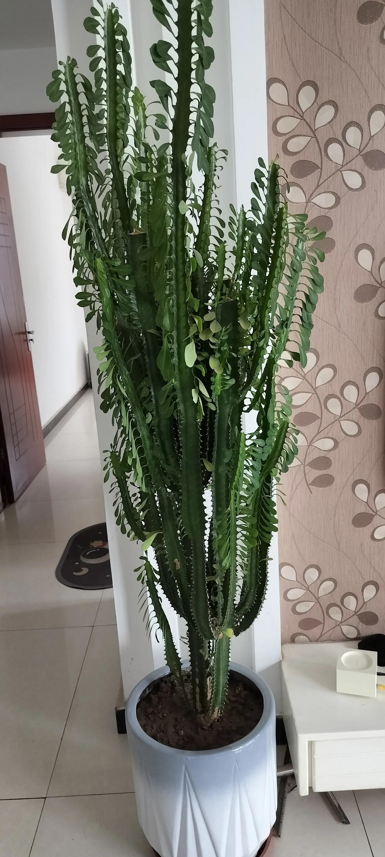 现在公务员工资是多少呀？外甥女今年刚考上的公务员，我们是一个小县城，并且她考