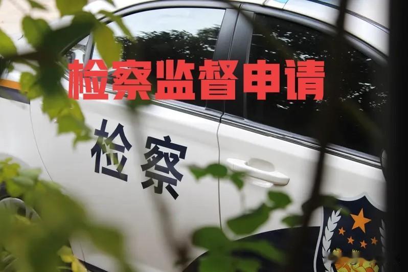 再审被驳回后，重新梳理自己案子的事实和理由、法律适用等情况，向检察机关申请检察监