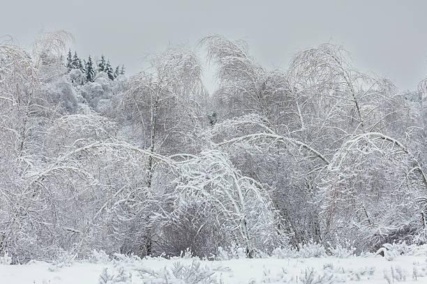 一位心理学导师说：很多底层家庭的悲剧：子女40多岁了，父母还不肯“退位”你会