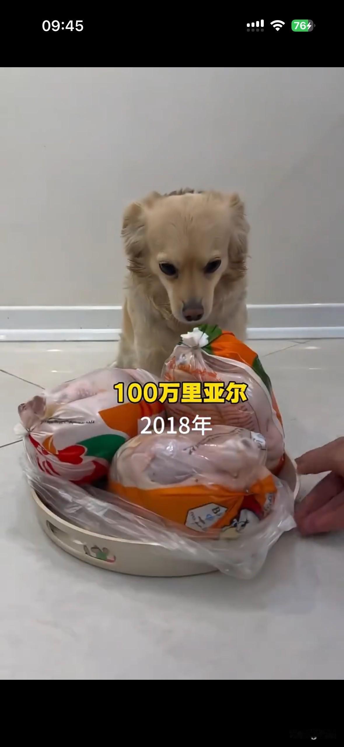 伊朗里亚尔贬值进程，用狗粮来直接比划！伊朗货币贬值这事，咱用狗狗的“干饭历程