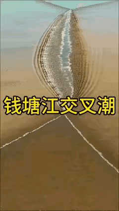 摄影师太强👍