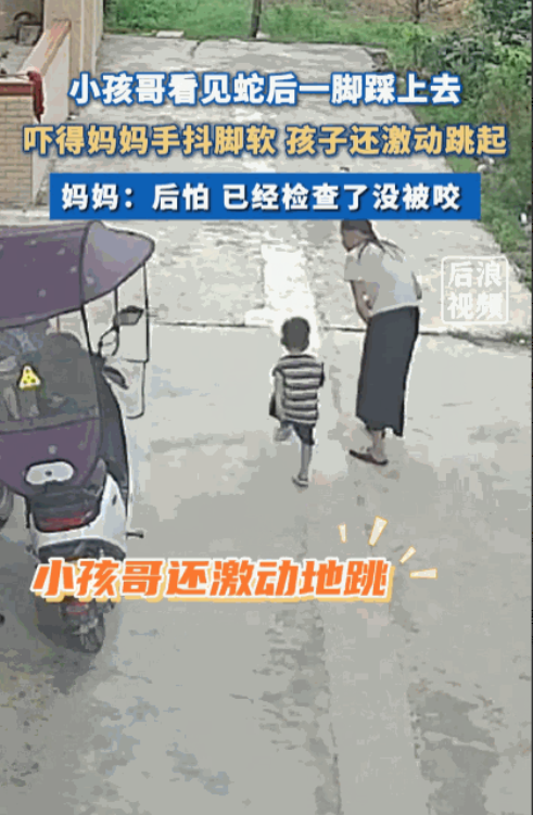 “真是初生牛犊不怕虎！”近日，广东，一个仅有两三岁大的孩子在家门口玩耍时，突然被
