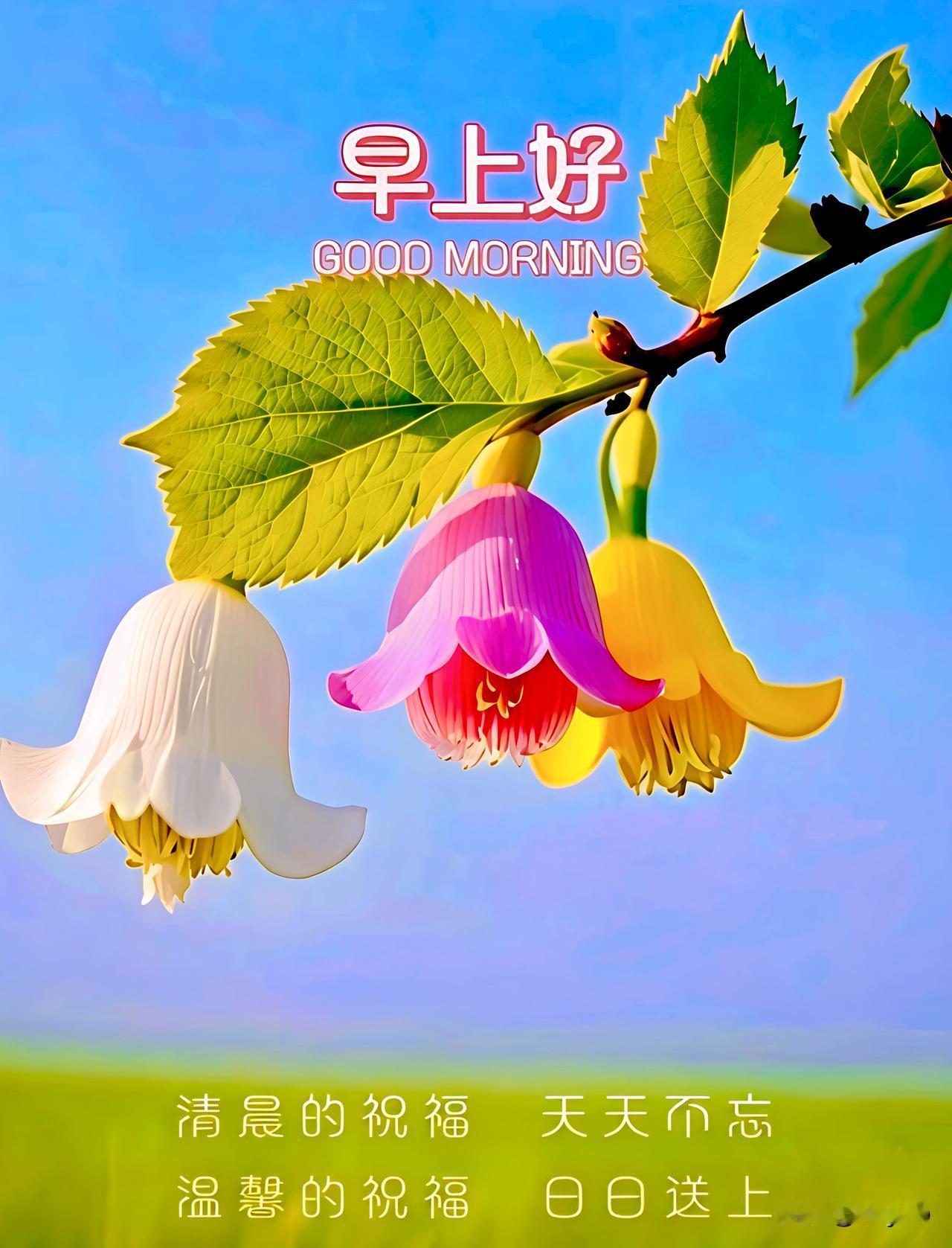 岁月相伴同行，喜乐朝夕与共。无需华丽语言，唯有本心祝福。愿你我前路顺遂，吉祥常伴