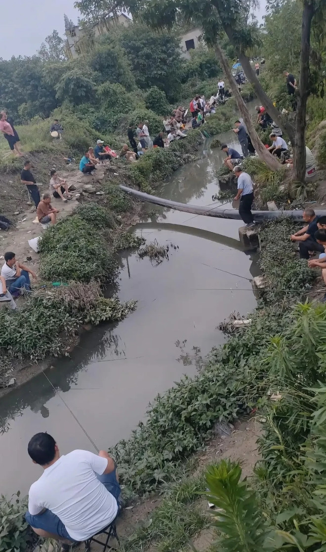 小水沟边上的一幕，不得不说，真是绝了。[惊恐][惊恐][惊恐]