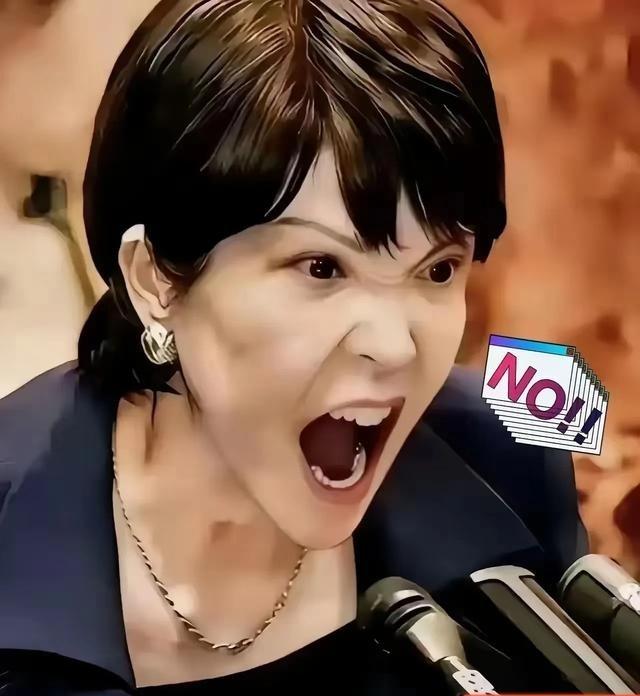 日本政府决定，2026年4月15日，日本政府宣布了一个重要决定，因为中东局势持续