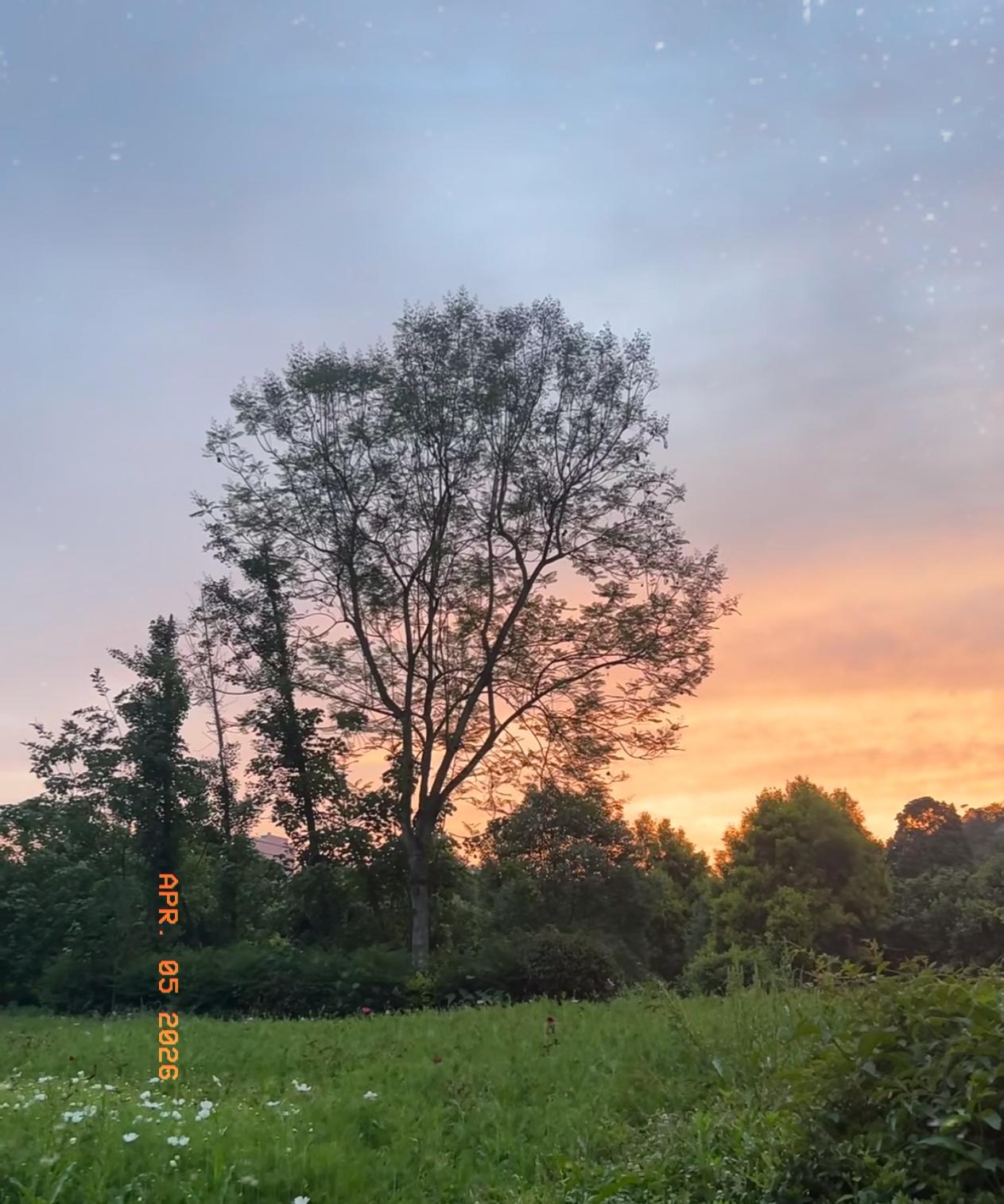 有位性学专家说得特别实在：男人身体差、寿命短，真不是缺什么名贵补品，多半是缺了情