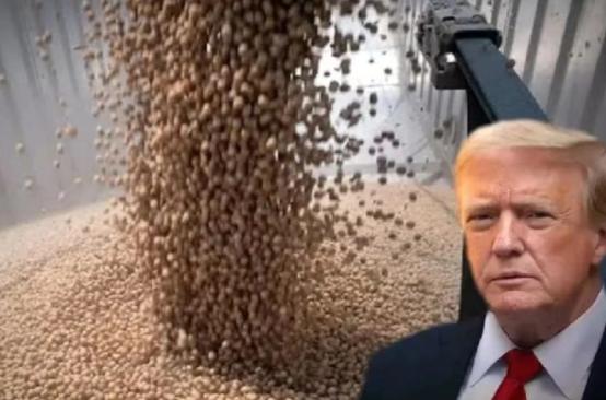 中国买了那么多美国大豆，也开放了对美稀土供应，得到的结果却是美国“台湾保证实施法