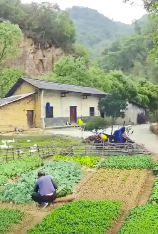 你发现没，在农村夫妻俩人，只要有一个退休工资每月有一千元以上，晚年都会幸福，儿孙