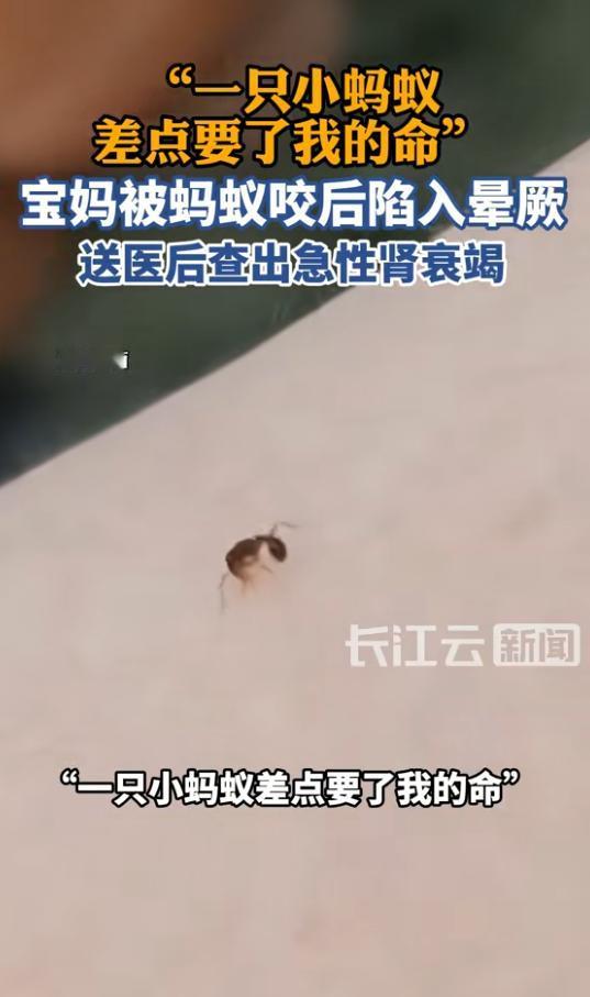 “悲剧还是发生了！”6月5日报道，海南，一女子带娃在当地自驾游时，被不知名的蚂蚁