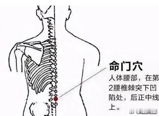 9月19日北派实时，北派古法长生图，强通八万四千气脉，中医穴位流注，返老还童，长