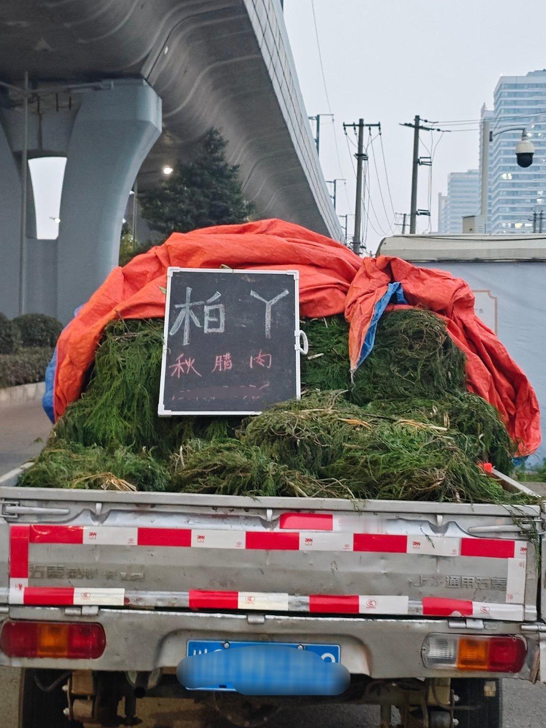 柏丫，秋腊肉，只有四川人才知道这是啥意思吧，还能卖钱呢