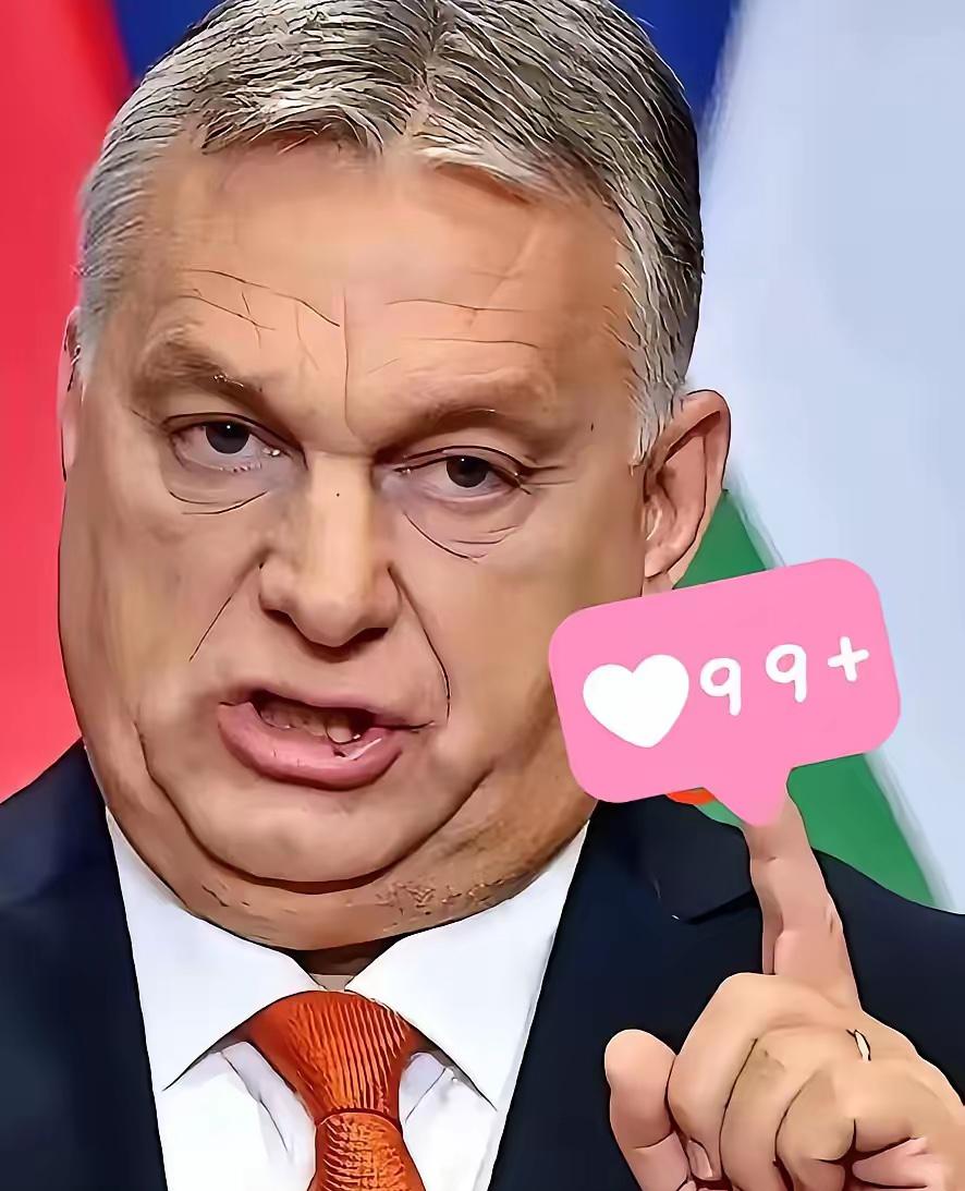 快报！欧尔班硬刚布鲁塞尔，匈牙利这条路走得太清醒！1月5日，匈牙利总理欧尔班