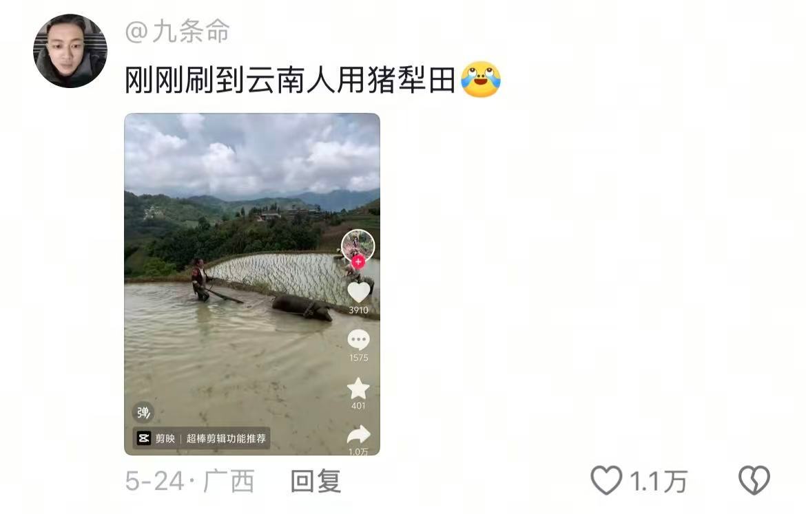 云南终究还是滇成了我不敢想象的样子🤣👌太松弛了