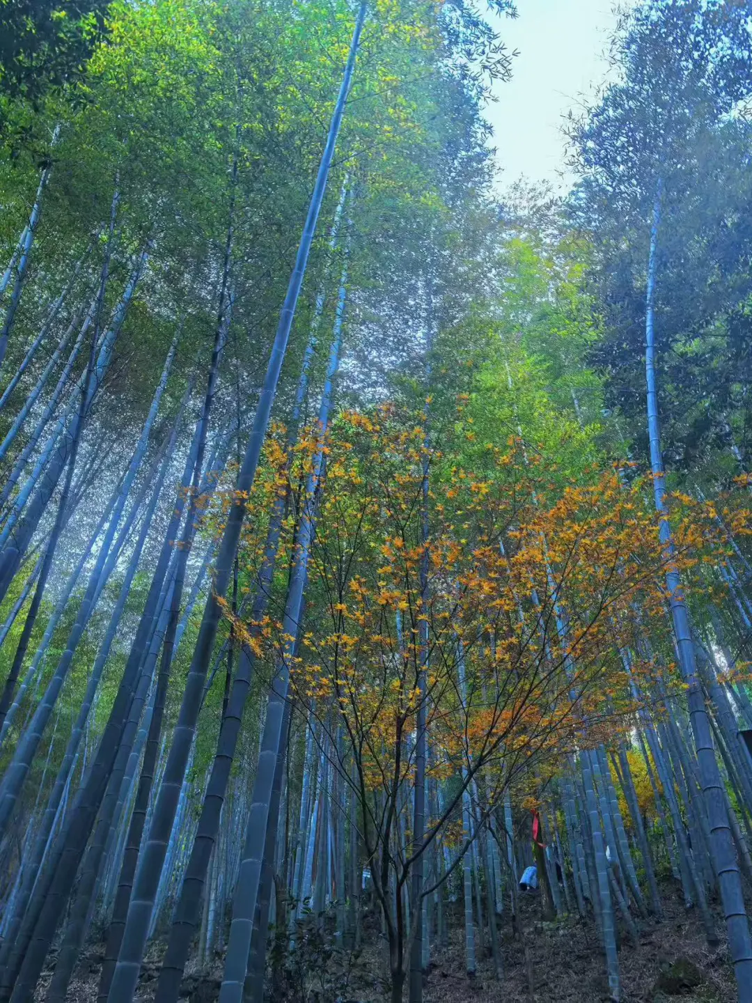 半山腰总是最挤的，你得去山顶看看。