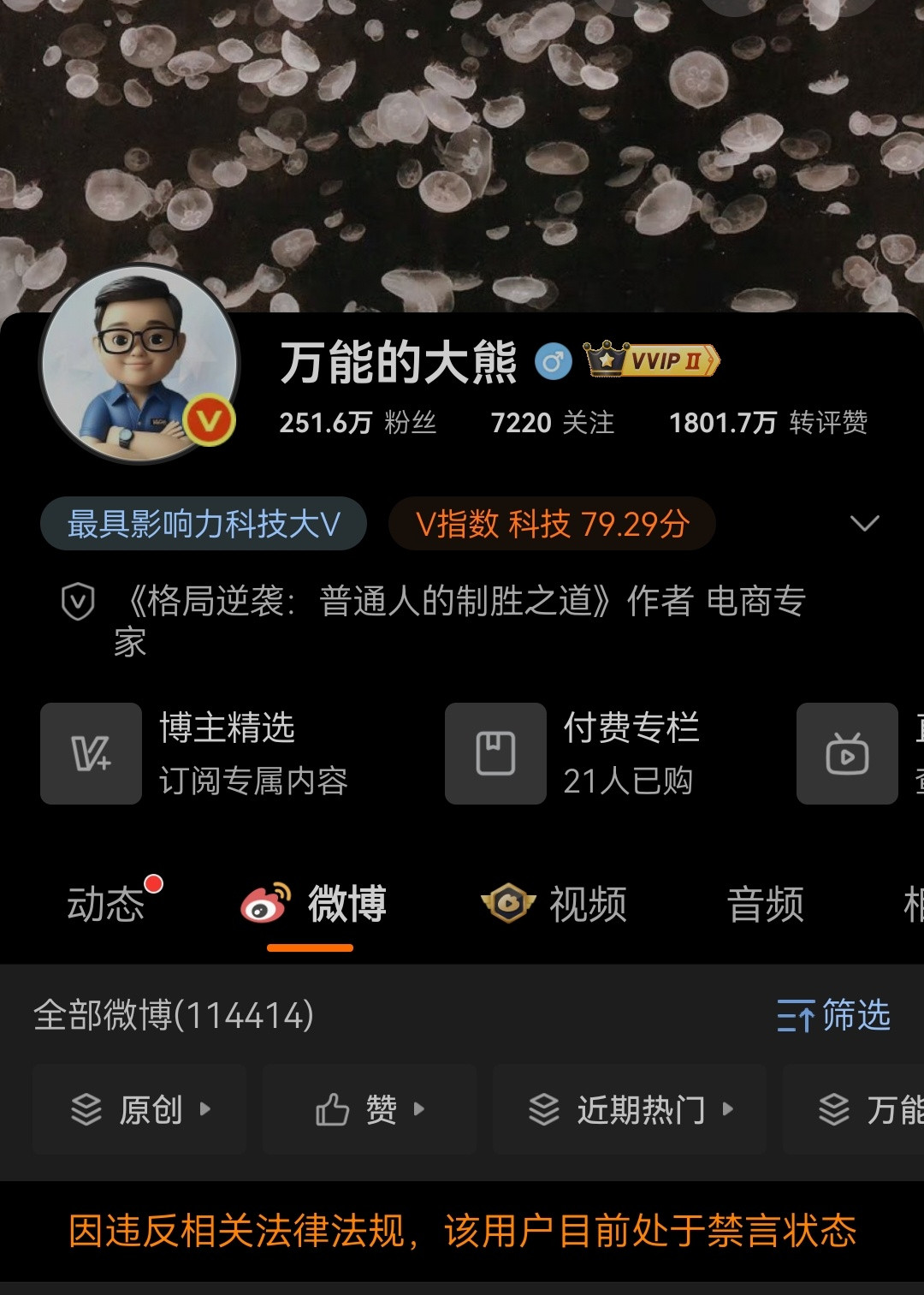 大熊也无了[doge]​​​