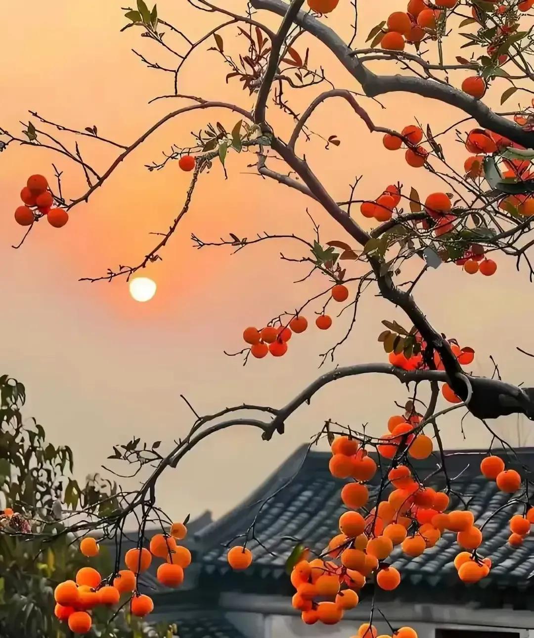 一个双胞胎宝妈在视频里哭着说，她把妹妹交给婆婆带睡三年，现在娃连抱都不让抱，一靠