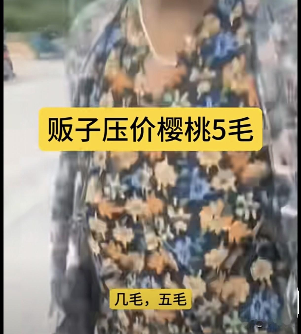 大樱桃5毛钱一斤？今年樱桃大丰收，水果贩子给果农开价5毛钱一斤！果农选择倒掉也不