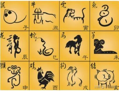 给十二生肖各一句人生忠告子鼠别总盘算得失舍得放下眼前小利才能接住