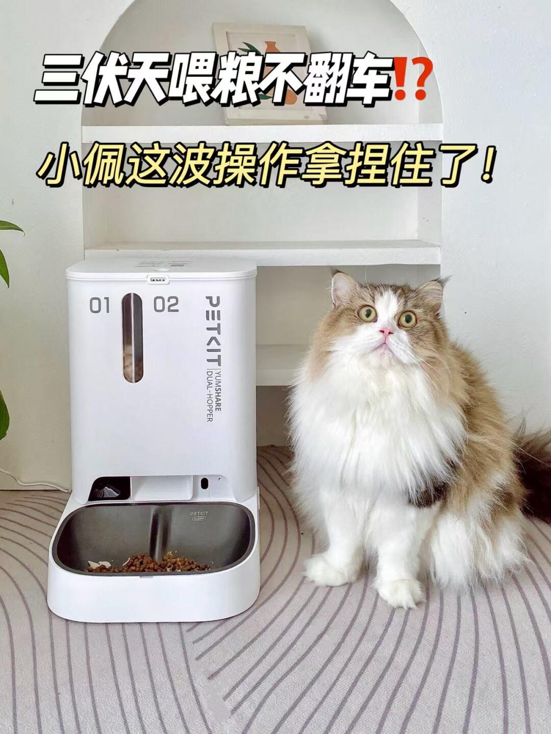 三伏天喂粮不翻车？小佩这波操作拿捏住了！