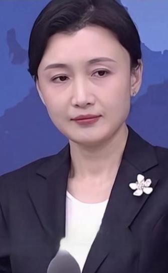 [玫瑰]新的对台信号出现了！接连抛出三句“改变不了”的明确表态，直接扭转