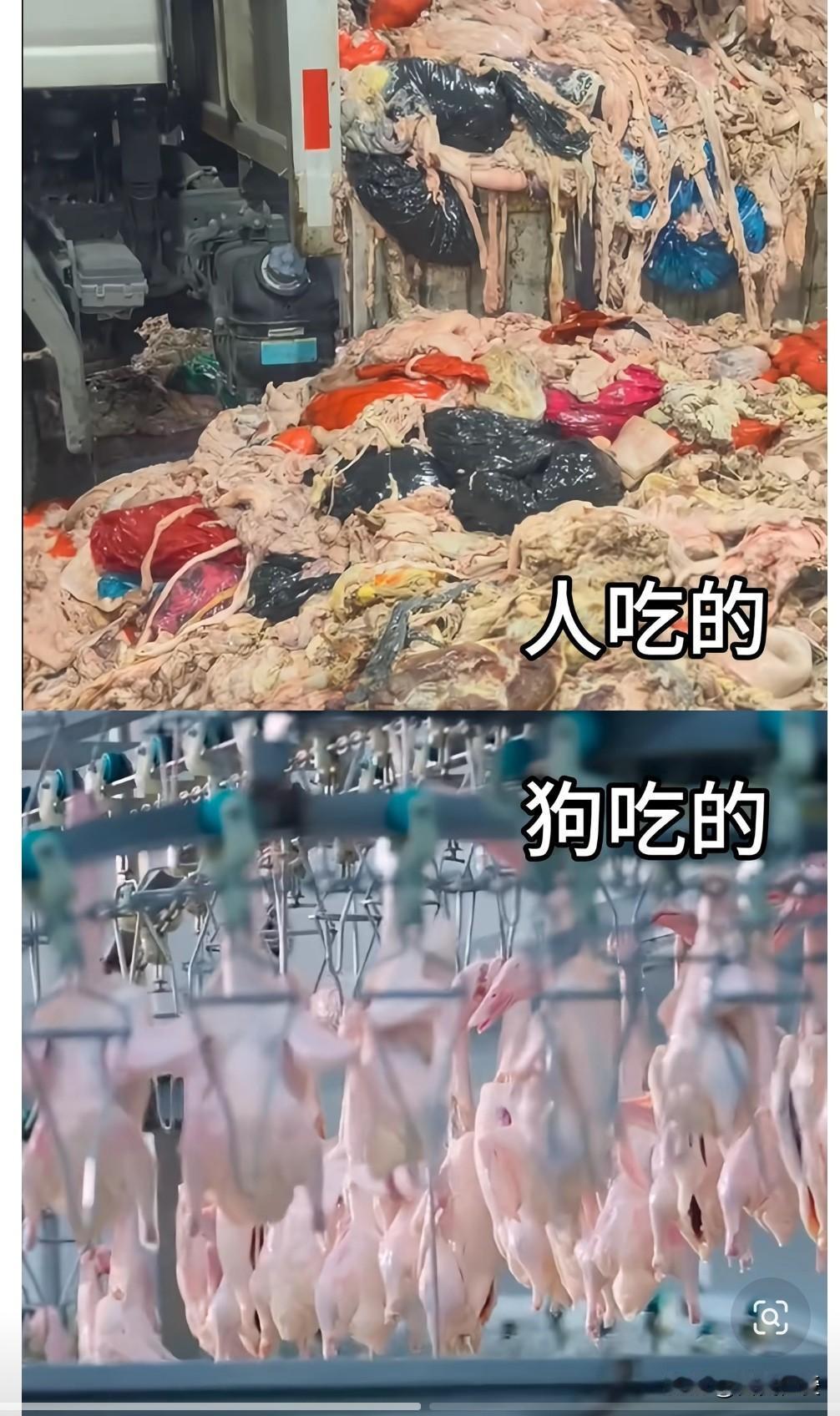 有点扎心的对比有时候看着配料表，会生出一种哭笑不得的落差感。我们随手买的