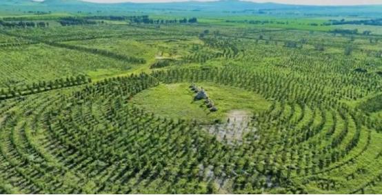 就凭这两张照片，中方就敢告诉白宫：任何战争美国都别想赢！ 别真以为这是种几棵