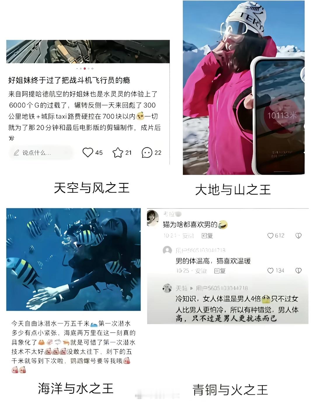 大地的力量，天空的力量，海洋的力量，火焰的力量