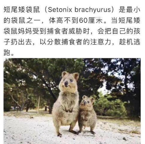 孩子没了可以再生，老子没了可就玩完了。[doge]​搞笑​​​​