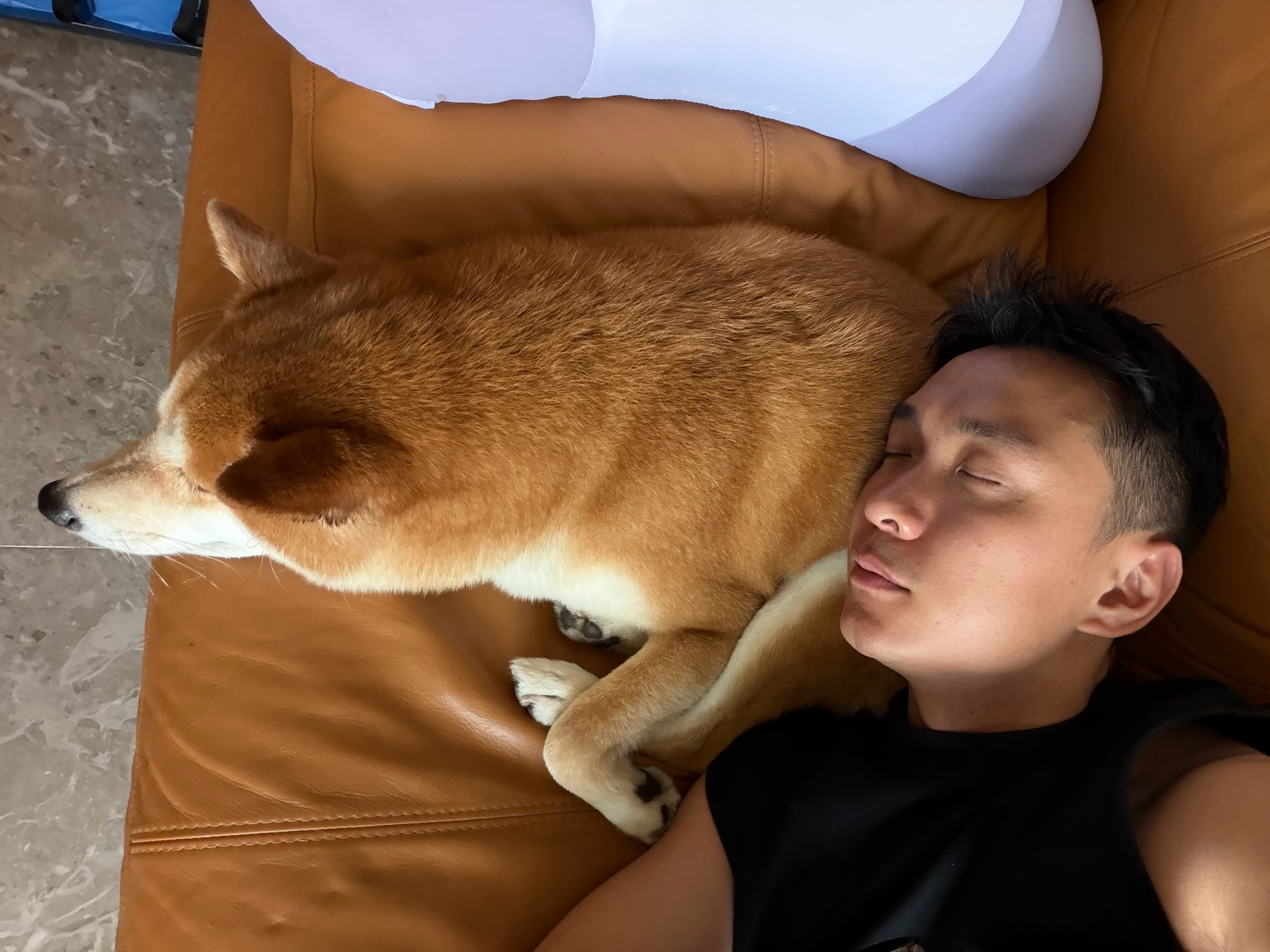 松松软软暖敷敷，就是有些滂臭