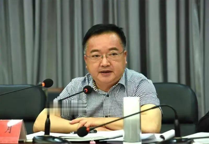 结交政治骗子, 对抗组织审查, 李明月被“双开”