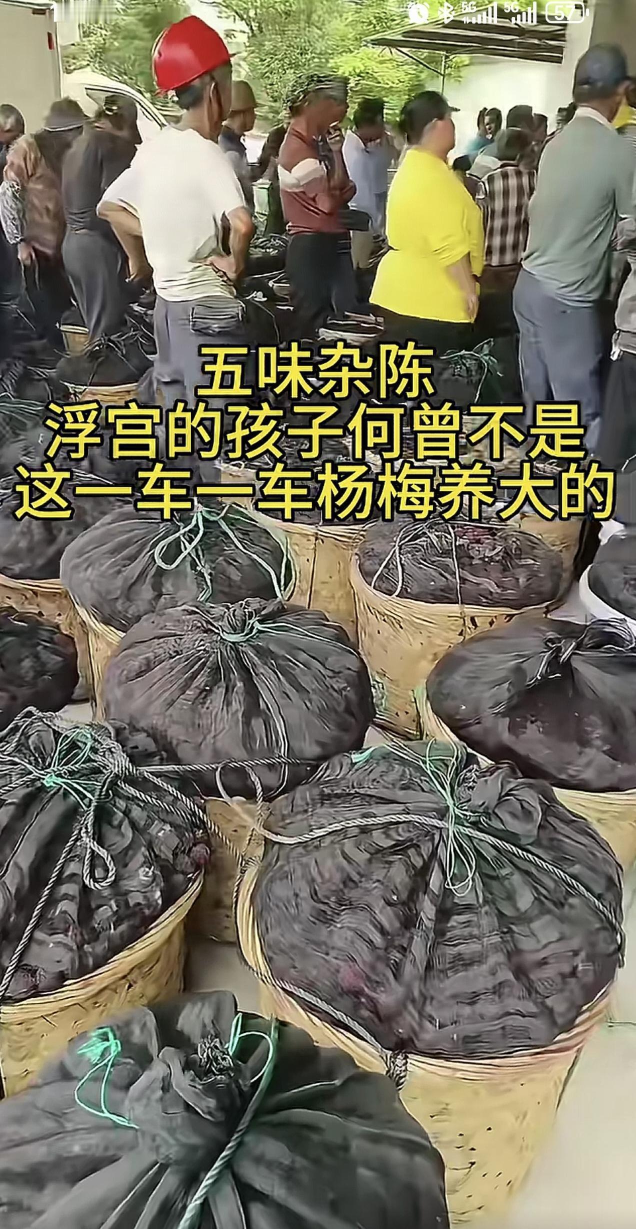 福建漳州杨梅刺痛了谁？还是中产扛下了所有。富豪肯定不吃水果店或者摊贩销售的东