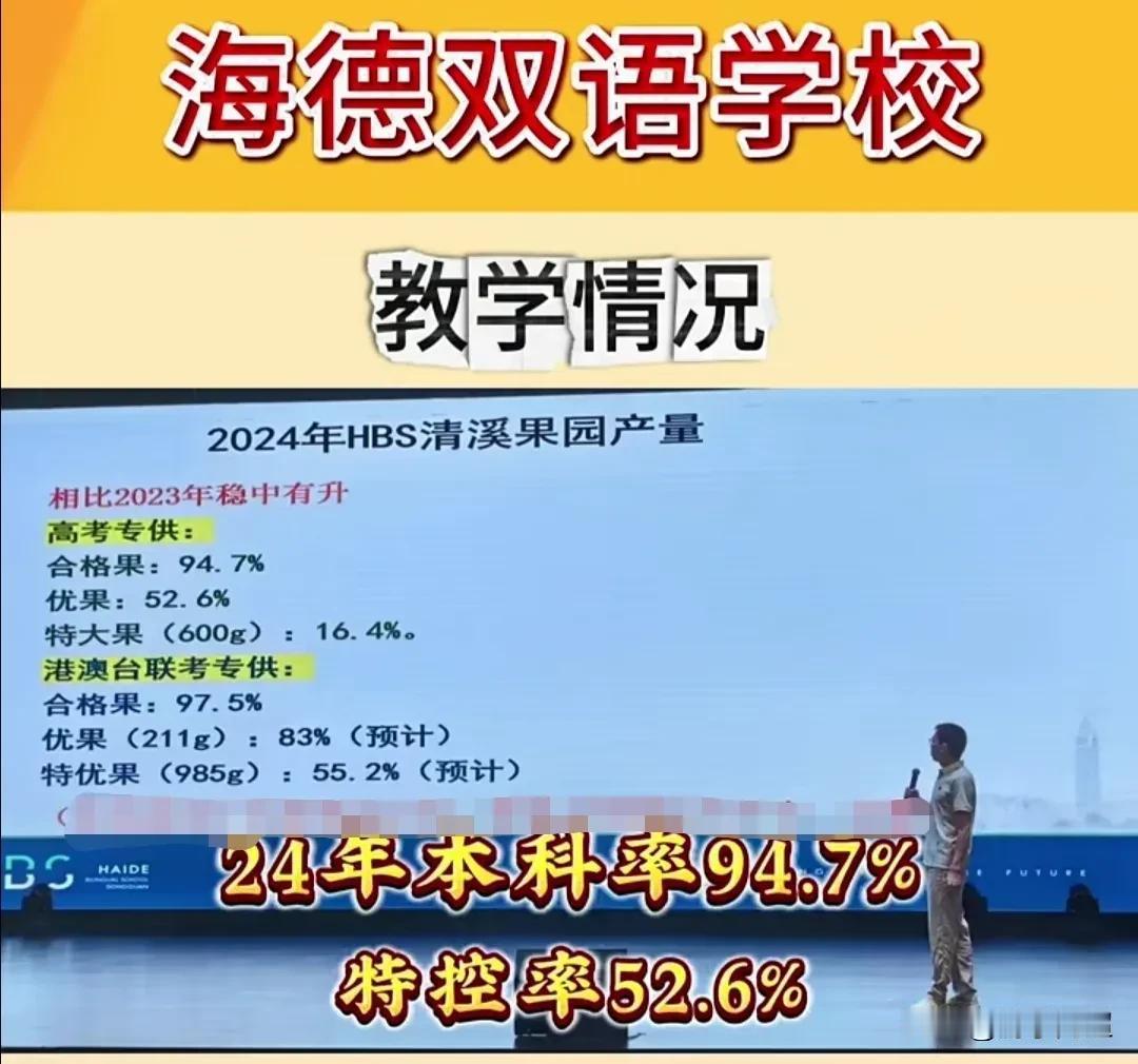 东莞市清溪镇海德双语学校2024年高考成绩：2024年高考，海德双语学校共有4