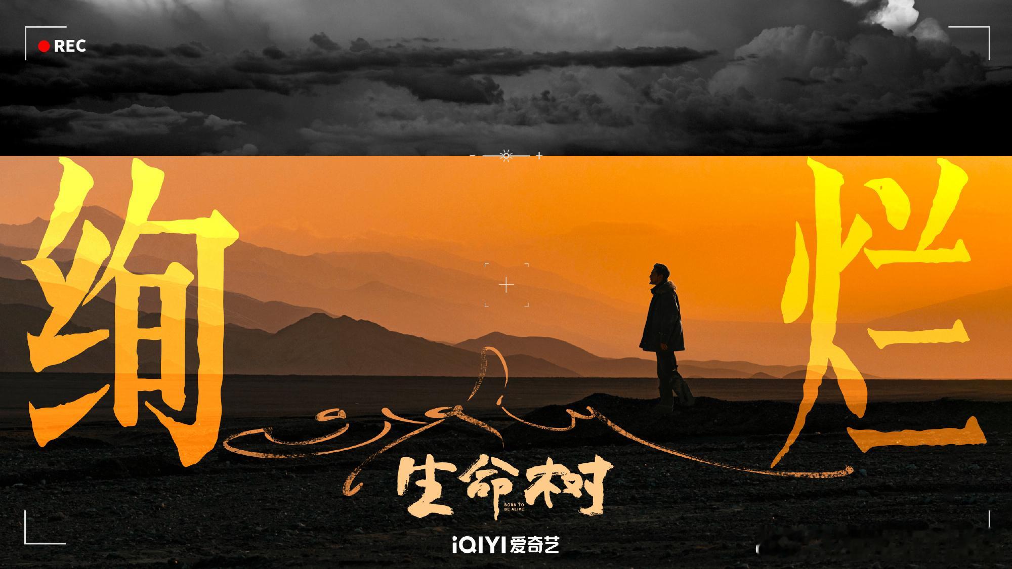 《生命树》的海报和宣发剧照都做得很好看。